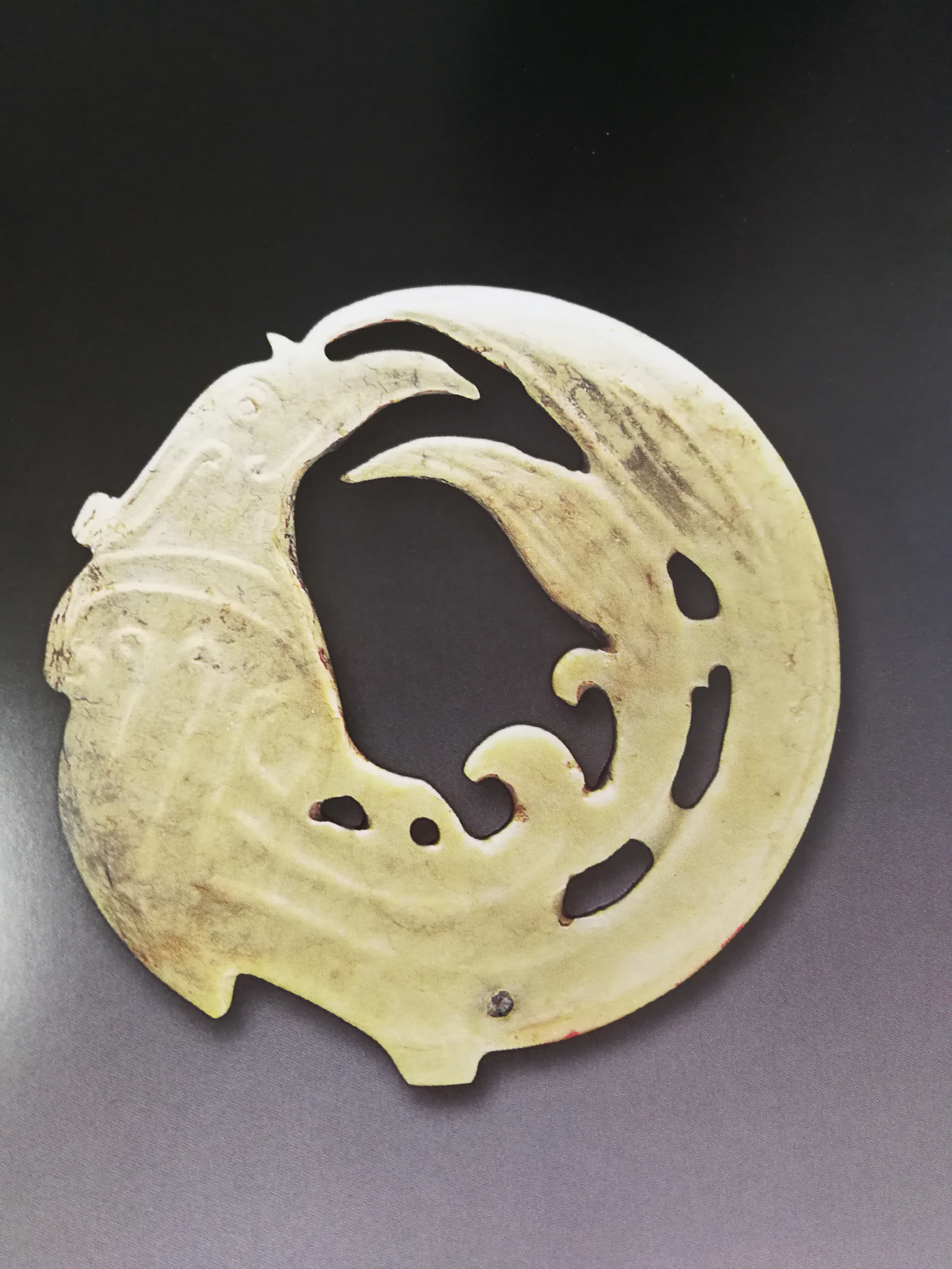 團(tuán)鳳 (3)